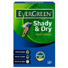 Evergreen Shady and Dry Lawn Seed - 420g