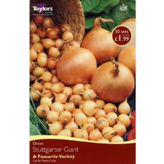 Spring Bulbs Onion Set - Stuttgarter Giant 50 Bulbs