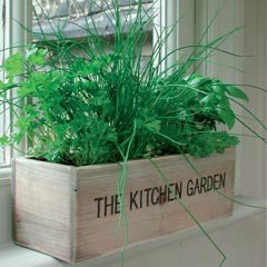 Unwins Mediterranean Kitchen Garden Herb Kit