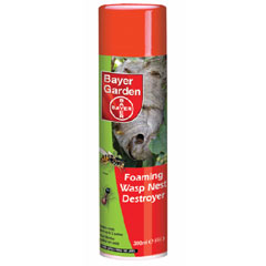 Bayer Foaming Wasp Nest Destroyer 300ml
