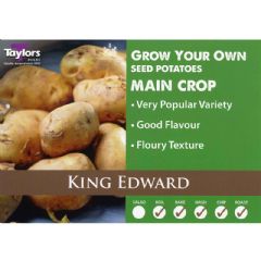 Main Crop Seed Potatoes - King Edward