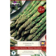 Asparagus Gijnlim - 2 Crowns