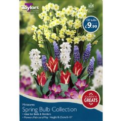 Autumn Bulbs - Spring Bulb Collection - 150 bulbs