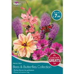 Spring Bulbs - Bees & Butterflies Collection 35 Bulbs