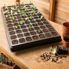 Gardman Jumbo Growing Kit