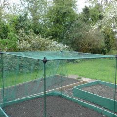 GardenSkill No Frills Crop Cage Kit - 1.5m x 1.5m x 1.35m with Bird Net 20mm
