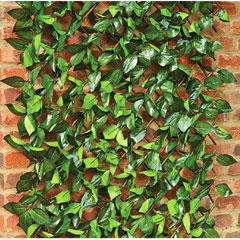 Birch Leaf Trellis Range