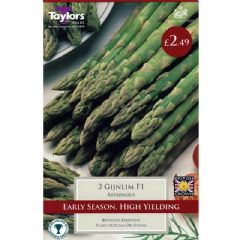 Spring Bulbs - Asparagus Gijnlim F1 - 2 Crowns