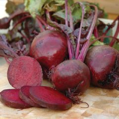 Thompson and Morgan Beetroot Boltardy Seed Tape -132 Seeds