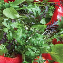 Thompson and Morgan Speedy Mix Salad Leaves Seed Tape - 80 Seeds