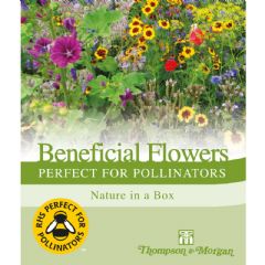 Thompson and Morgan Beneficial Flowers Perfect for Pollinators Mix - 200g