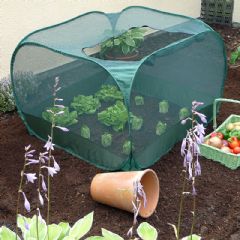 Pop Up Crop Cage with Door - W125 x D125 x H75cm
