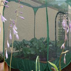GardenSkill Pop Up Crop Cage with Door - W125 x D125 x H135cm