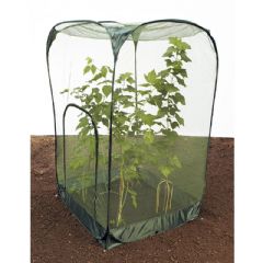 Pop Up Crop Cage with Door - W100 x D100 x H185cm