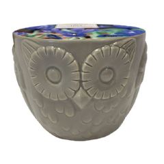 Taylors Ceramic Owl Planter - 5 Iris Bulbs