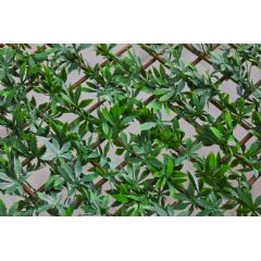 WonderWal Green Acer Leaf Trellis on Willow Frame - 1m x 2m