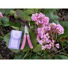 Apples to Pears Folding Pocket Secateurs - Pink
