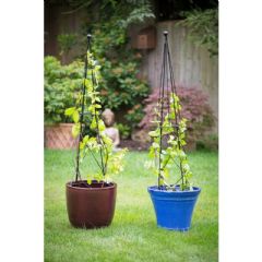 Apollo Garden Obelisk Rounded - 2 Pack