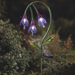 Smart Garden Solar Fuchsia Light