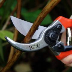 Burgon & Ball RHS Bypass Secateurs