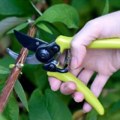 Burgon & Ball RHS Micro Secateurs - Green