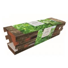 Taylors Indoor Terracotta Herb Trio