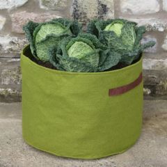 Haxnicks Vigoroot Vegetable Planter