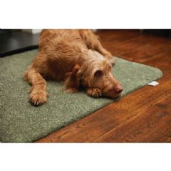 Hug Rug Indoor Doormat - Sage Green