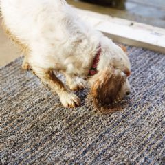 Hug Rug Indoor Doormat - Candy Slate
