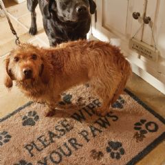 Hug Rug Pet Paws Indoor Doormat - 65cm x 85cm