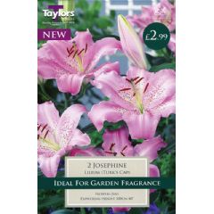 Taylors Autumn Bulbs Lily Josephine - 2 Bulbs