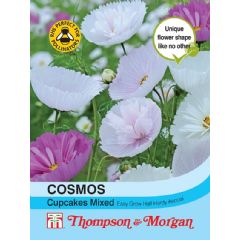 Cosmos Cupcakes - Mixed - 100 Seeds