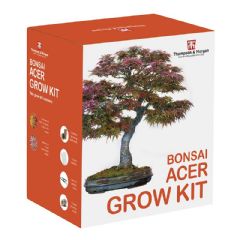 Thompson and Morgan Bonsai Acer Grow Kit