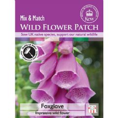 Thompson and Morgan Wild Flower Foxglove - 3000 Seeds