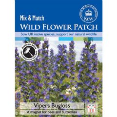 Thompson and Morgan Wild Flower Vipers Bugloss - 75 Seeds