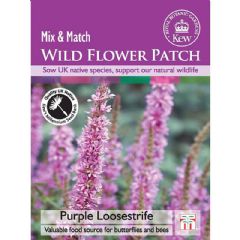 Thompson and Morgan Wild Flower Purple Loosestrife - 500 Seeds