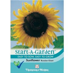 Thompson and Morgan Sunflower Russian Giant - 25 Seeds