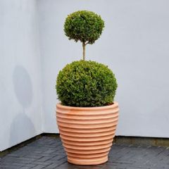 Strata Morroccan Planter - Terracotta