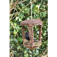 Wildlife World Simon King Open Nest Buddy