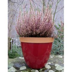 Provence Planter - 30cm