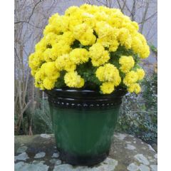 Iberian Planter - Green - 40cm