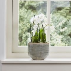 Ivyline Como Oval Planter - Mint - 26cm