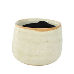 Ivyline Como Cacti Planter - Ivory - 8cm