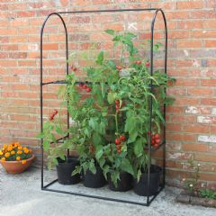 Haxnicks Tomato Frame & Support