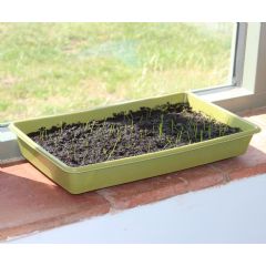 Haxnicks Plastic Free Bamboo Seed Tray