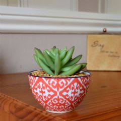 Candlelight Hand Painted Pot With Succulent - Red