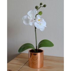 Candlelight Orchid In Rose Gold Pot