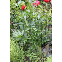 Tildenet Hoop Top Lawn Edging - 10m x 0.40m