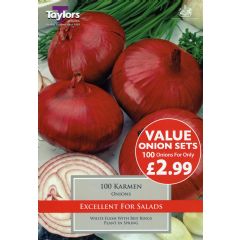 Spring Bulbs - Karmen Onion - 100 Bulb Value Pack