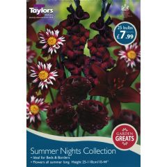 Spring Bulbs - Summer Nights Collection - 25 Bulbs